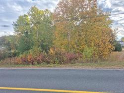 0.5 Acre Noel RD  Belledune, NB E8G 2R5