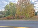 0.5 Acre Noel Rd, Belledune, NB 
