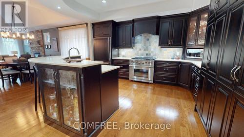 176 Solera Circle, Ottawa, ON - Indoor Photo Showing Kitchen With Upgraded Kitchen