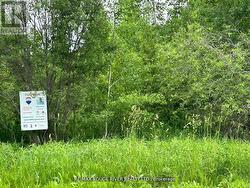 CON 8 PTLOT7RDPL74PT44-49  Trent Hills, ON K0K 3K0