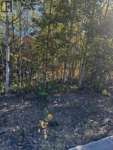 23 Freeland Drive, Gravenhurst (Muskoka (S)), ON 