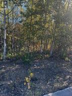 23 FREELAND DRIVE  Gravenhurst (Muskoka (S)), ON P1P 1Z6