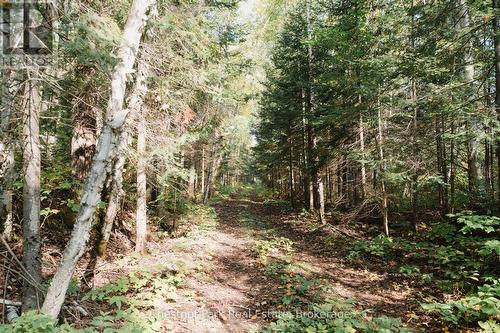 445 Fox Run, Temagami, ON 