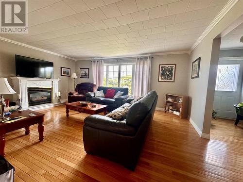 21 Drakes Road, Lawn, NL - Indoor Photo Showing Living Room With Fireplace