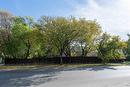 168 Des Meurons St, Winnipeg, MB 