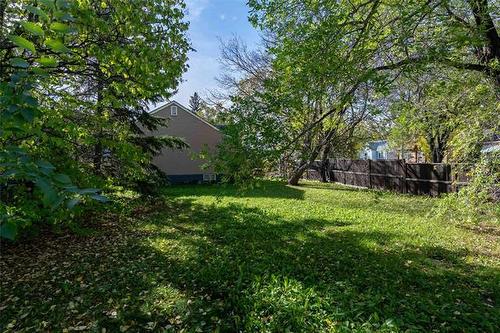 168 Des Meurons St, Winnipeg, MB 