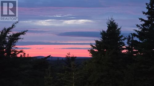 295-307 Cemetry Road, Brigus, NL - Outdoor With View