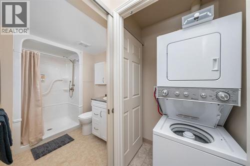 180 Bunker Avenue Unit# 1+D, St Clair, ON - Indoor Photo Showing Laundry Room