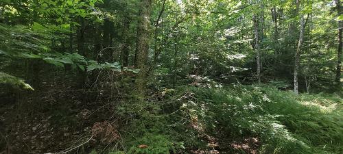 Vue d'ensemble - 52 Ch. Lacombe, Val-Des-Monts, QC 