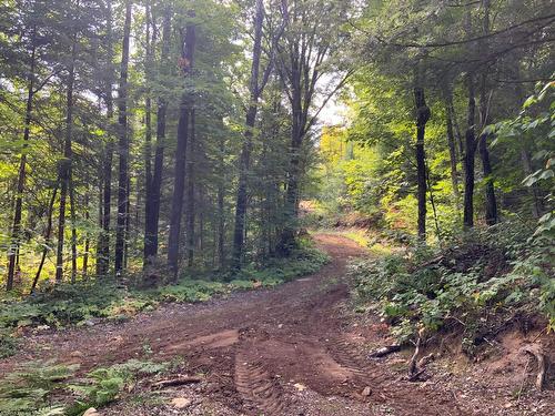 Terre/Terrain - 131 Mtée Rochon, Ripon, QC 