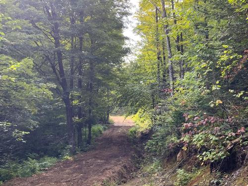 Terre/Terrain - 131 Mtée Rochon, Ripon, QC 