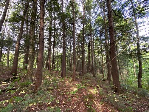 Terre/Terrain - 131 Mtée Rochon, Ripon, QC 