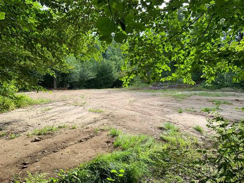 Terre/Terrain - 131 Mtée Rochon, Ripon, QC 