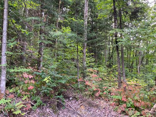 Terre/Terrain - 131 Mtée Rochon, Ripon, QC 