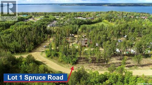 Lot 1 Spruce Road, Tobin Lake, SK 