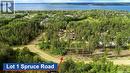 Lot 1 Spruce Road, Tobin Lake, SK 