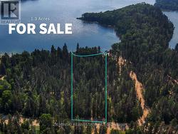 LOT 6 PLAN 6M499, NORTH MUNRO LAKE ROAD Black River-Matheson (Matheson Unorganized), ON P0K 1N0
