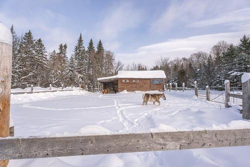 Extérieur - 9065  - 9067 Ch. Ladouceur, Sainte-Agathe-Des-Monts, QC 