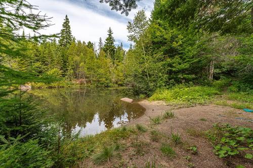 Accès au plan d'eau - 9065  - 9067 Ch. Ladouceur, Sainte-Agathe-Des-Monts, QC 