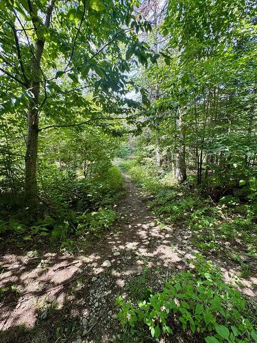 Terre/Terrain - 9065  - 9067 Ch. Ladouceur, Sainte-Agathe-Des-Monts, QC 