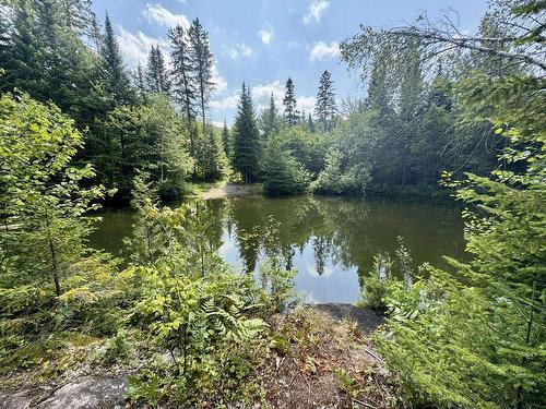 Terre/Terrain - 9065  - 9067 Ch. Ladouceur, Sainte-Agathe-Des-Monts, QC 