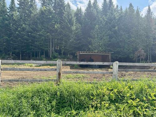 Terre/Terrain - 9065  - 9067 Ch. Ladouceur, Sainte-Agathe-Des-Monts, QC 