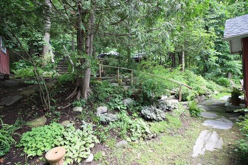 Jardin - 4205 Ch. Magog, North Hatley, QC - Outdoor