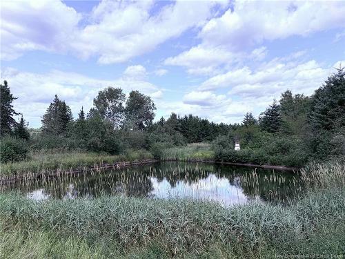 11051 Rte 430 Hwy, Trout Brook, NB 