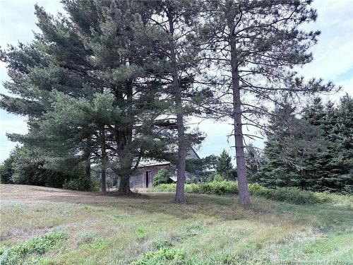 11051 Rte 430 Hwy, Trout Brook, NB 