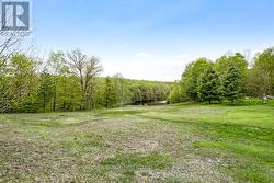 No rear neighbours - 