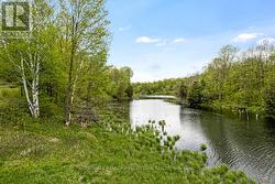 River for canoeing and kayaking - 