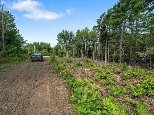 8860 Moose River Road, Lindsay Lake, NS 