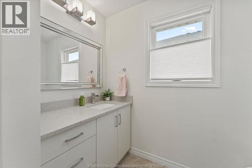 117 Arthur Street North, Harrow, ON - Indoor Photo Showing Bathroom
