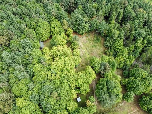 Extérieur - 2060 Côte St-Victor, Papineauville, QC 