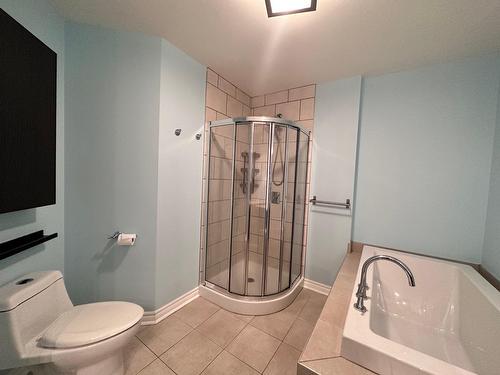 Salle de bains - 3-8780 Crois. Du Louvre, Brossard, QC - Indoor Photo Showing Bathroom