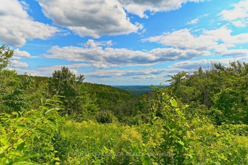 798433 3Rd Line E, Mulmur, ON - Outdoor With View