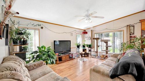 32 Old N Thompson  E Highway, Clearwater, BC - Indoor Photo Showing Living Room