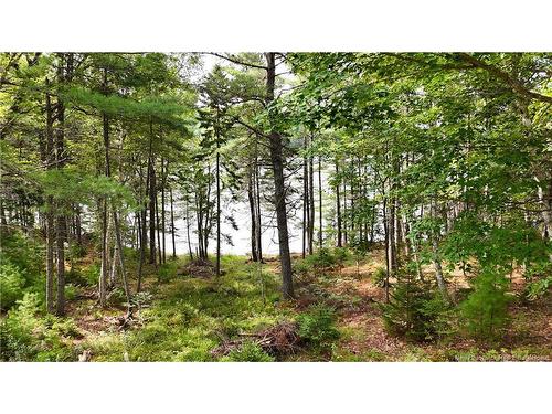 135 Pine Point Rd, Dufferin, NB 