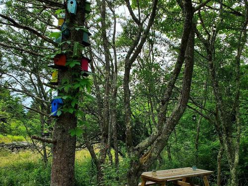 377 Pleasant Street, Yarmouth, NS 