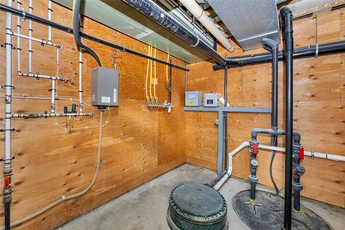 211 Pleasant Valley Cross Road, Armstrong, BC - Indoor Photo Showing Basement