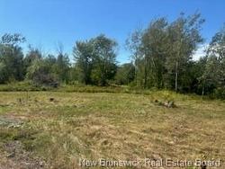 4021 Route 690  Newcastle Creek, NB E4B 2K8