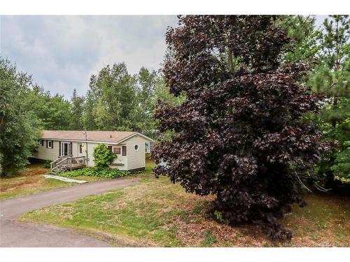 5 Purple Martin CRT  Moncton, NB E1H 2Z8