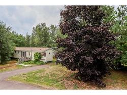 5 Purple Martin CRT  Moncton, NB E1H 2Z8