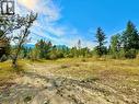 Acreage on the other side of Palmer Creek could be great for storage or possible subdivision & rezoning - 4751 5Th Avenue Sw, Salmon Arm, BC 