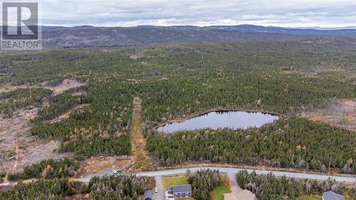 0 Medalsis Pond Road, Flatrock, NL 