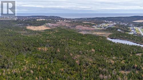 0 Medalsis Pond Road, Flatrock, NL 