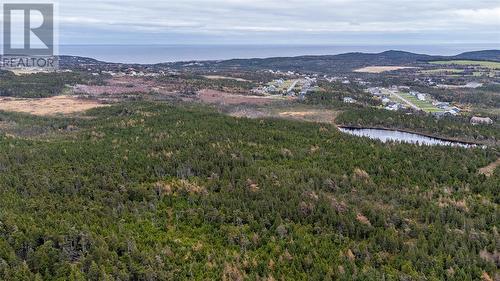 0 Medalsis Pond Road, Flatrock, NL 