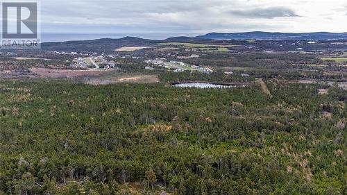 0 Medalsis Pond Road, Flatrock, NL 