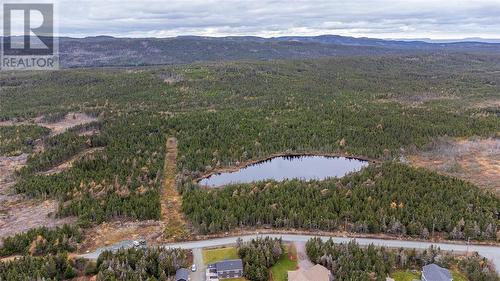 0 Medalsis Pond Road, Flatrock, NL 