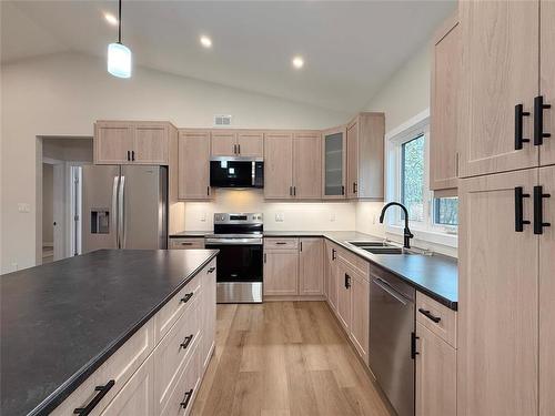 135 Daphne Avenue E, Souris, MB - Indoor Photo Showing Kitchen With Double Sink With Upgraded Kitchen